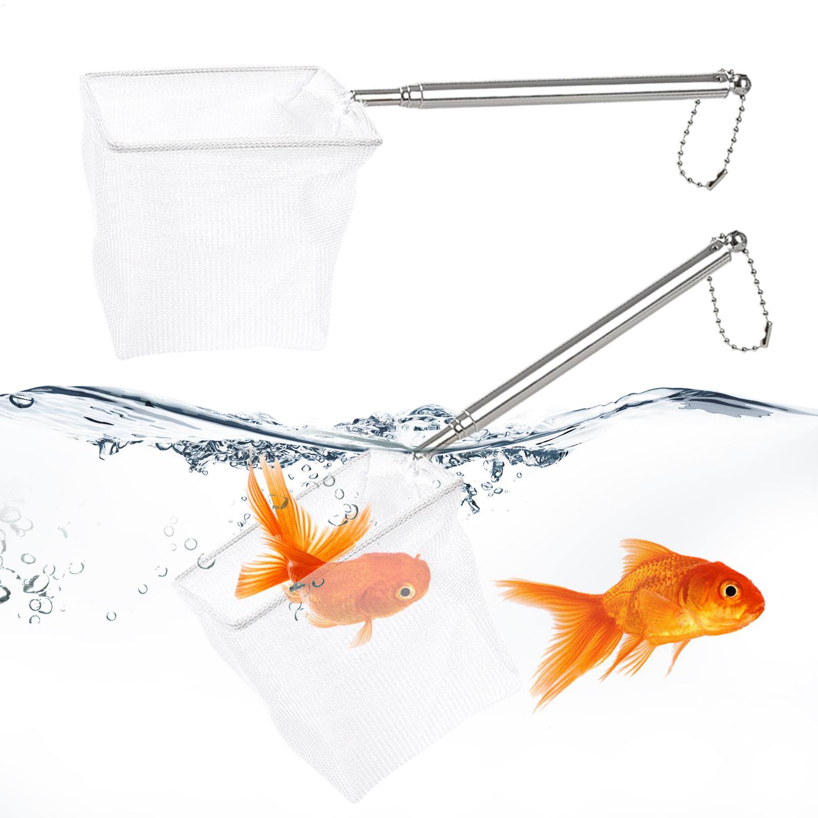 Landing Net Telescopic - طقم من قطعتين: شبكة صيد سمك