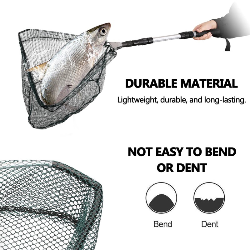 شبكة صيد السمك A12E مع مقبض تل - مراجعة Landing Net Telescopic وسعره