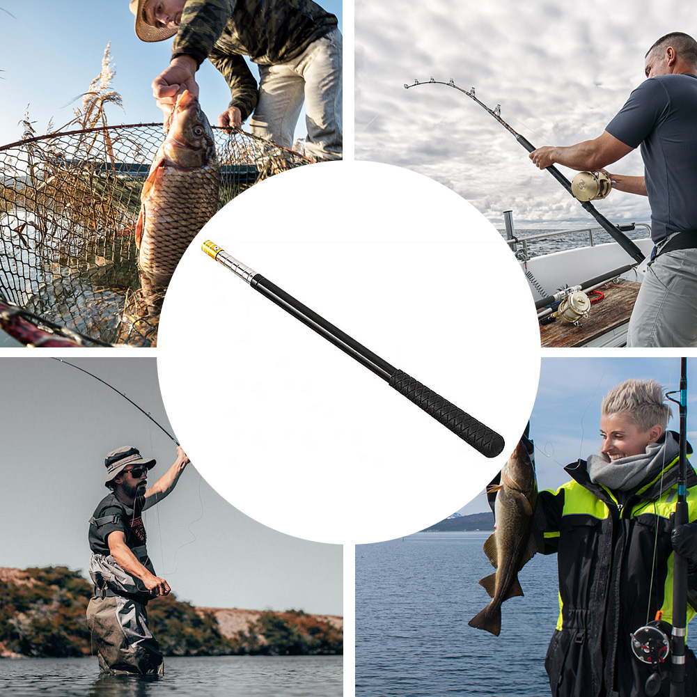 قابل للسحب تلسكوبي شبكة أرضية  - مراجعة Landing Net Telescopic وسعره